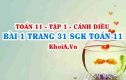 Bài 1 trang 31 SGK Toán 11 tập 1 Cánh Diều